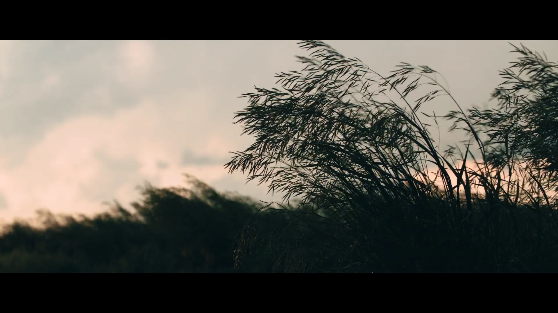 In The Moment - Turnkey Ad - Image 6